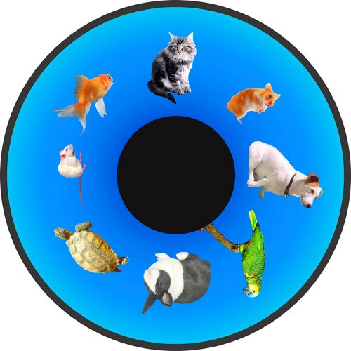 Solar Wheel 6" Pets - FGM7426