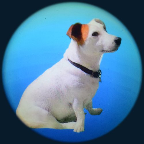 Solar Wheel 6" Pets - FGM7426