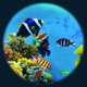Solar Wheel 6" Tropical Fish - FGM7263