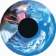 Solar Wheel 6" Weather - FGM7025