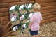 Acrylic mirror panel 9-dome