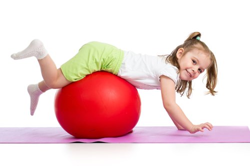 Physio ball BRQ ø55cm