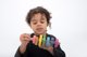 Caragol amb femelles de colors i formes