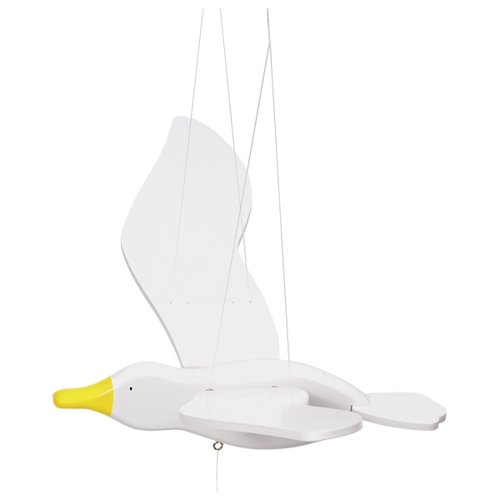 Seagull, swinging animal
