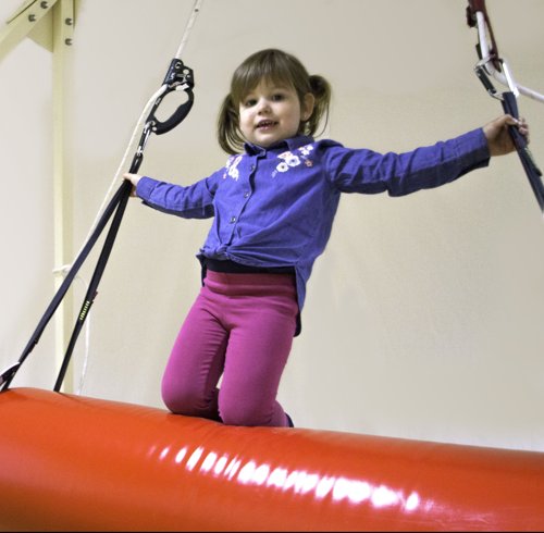 Vestibulator Tau - roll swing ø35x130cm