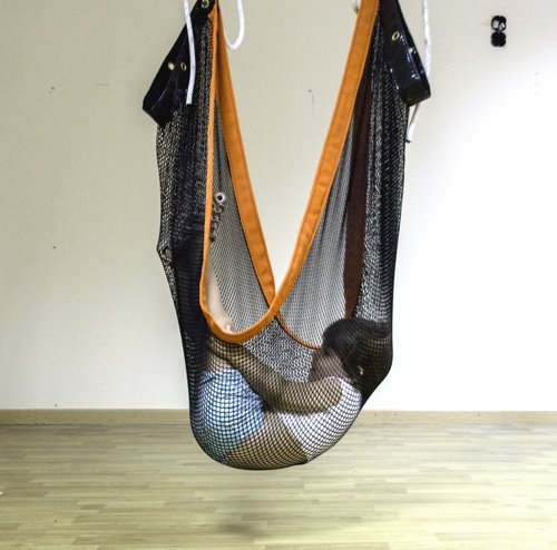 Vestibulator Tau - prone net swing